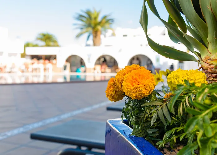 Adelfas Πουέρτο Ντελ Κάρμεν